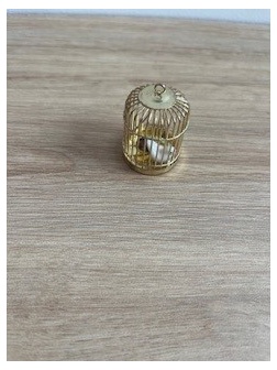 Cage et oiseau