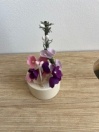 fleurs / plantes  Lundby