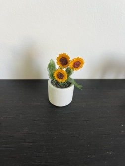 Plante tournesol Lundby