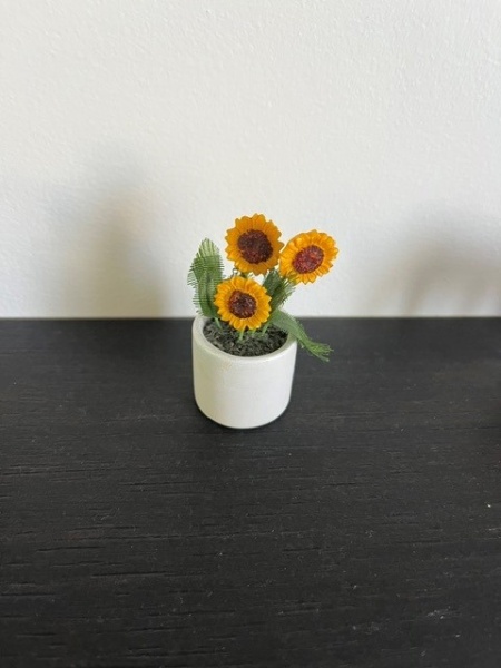 Plante tournesol Lundby