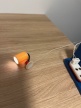 Applique / lampe Lisa